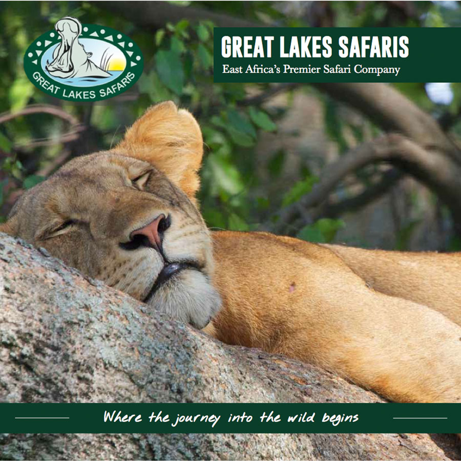 great lakes safaris tour packages
